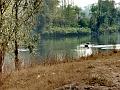 adda (118)